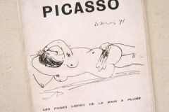 livre-1941-Picasso