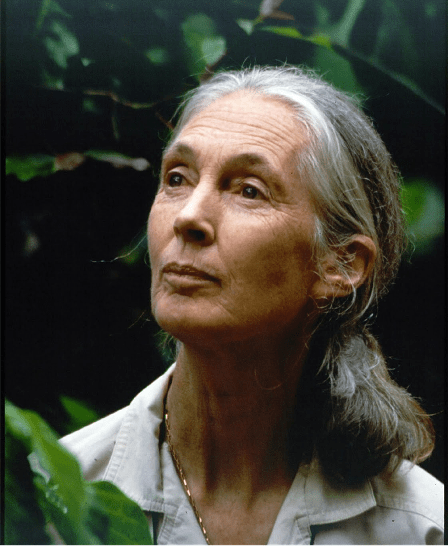 jane-goodall-2014.png
