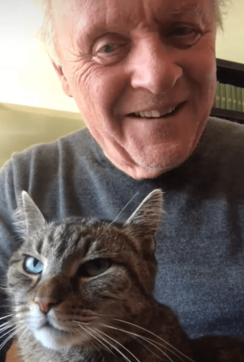Niblo, le chat de Anthony Hopkins